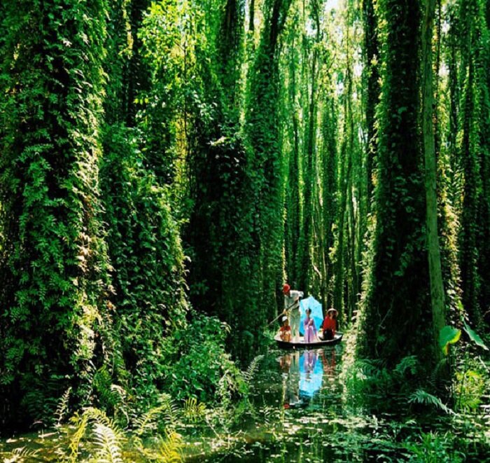 Capture the sustainable charm of Dong Thap’s ecotourism